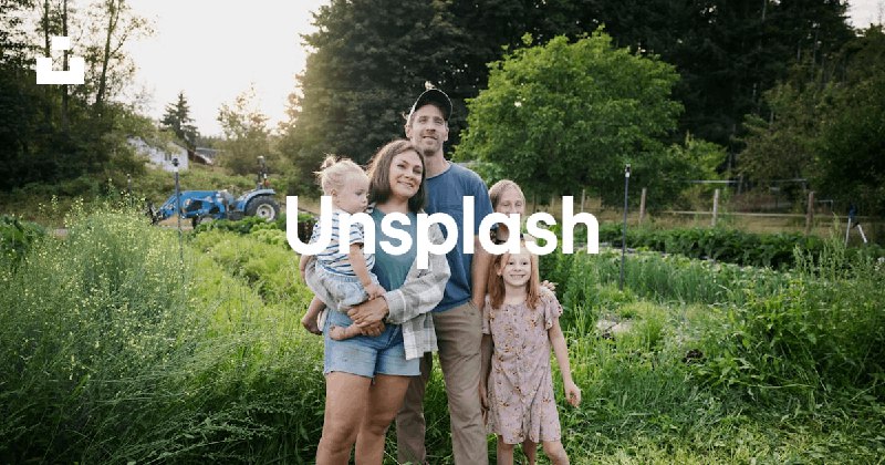 Beautiful Free Images & Pictures | Unsplash